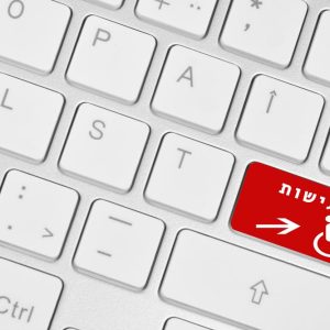 נגישות אתרים