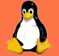 אחסון Moodle